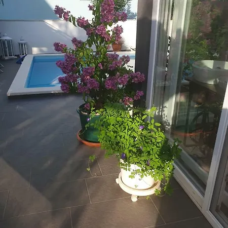 Apartment Suai