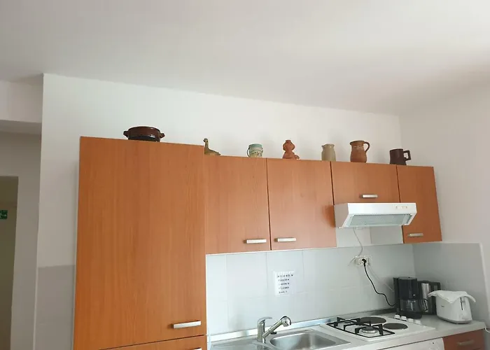 Suai * טוראני