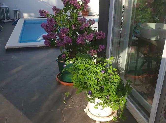 Apartman Suai